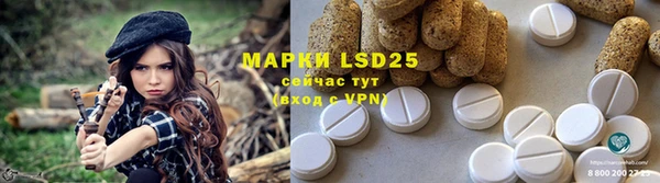 гашик Белокуриха
