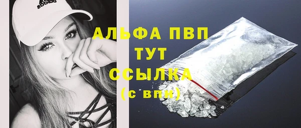 гашик Белокуриха