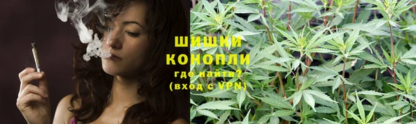 гашик Белокуриха