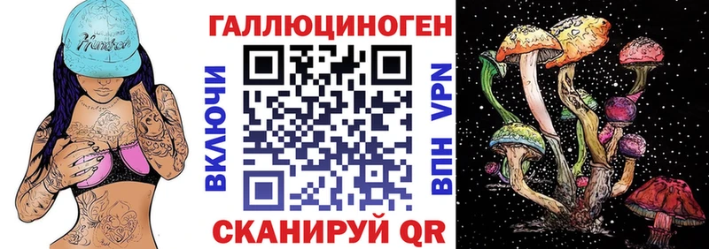 Псилоцибиновые грибы GOLDEN TEACHER  продажа наркотиков  Черногорск 